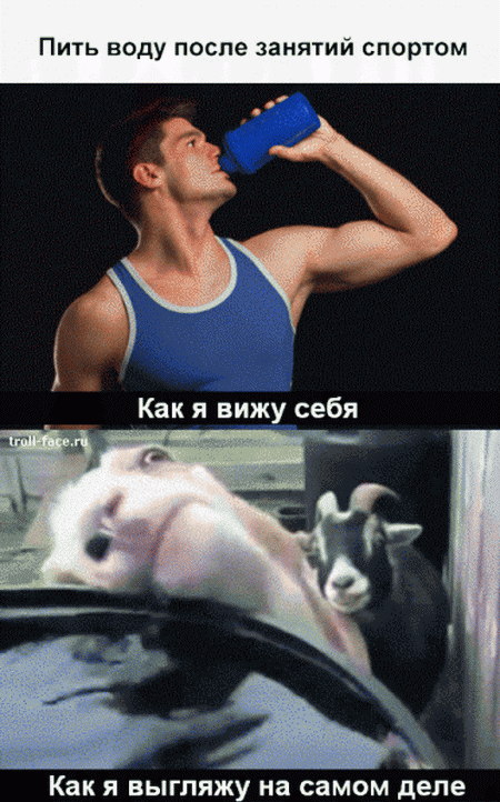 Ожидание vs реальность, примеры в картинках) Ожидание vs реальность, примеры в картинках)