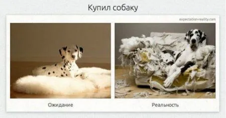 Ожидание vs реальность, примеры в картинках) Ожидание vs реальность, примеры в картинках)