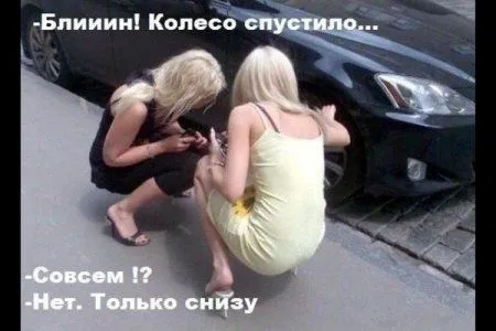 Наши фото приколы - всегда самые приколистые
