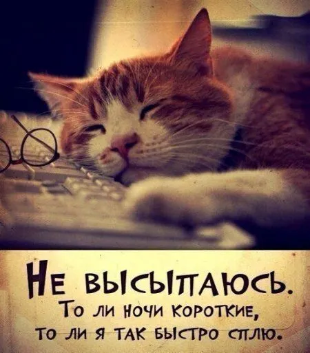 Наши фото приколы - всегда самые приколистые Наши фото приколы - всегда самые приколистые