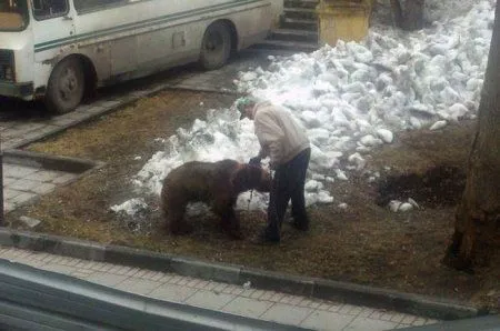 Предлагаю Вам посмотреть небольшую подборку жизни медведей среди людей