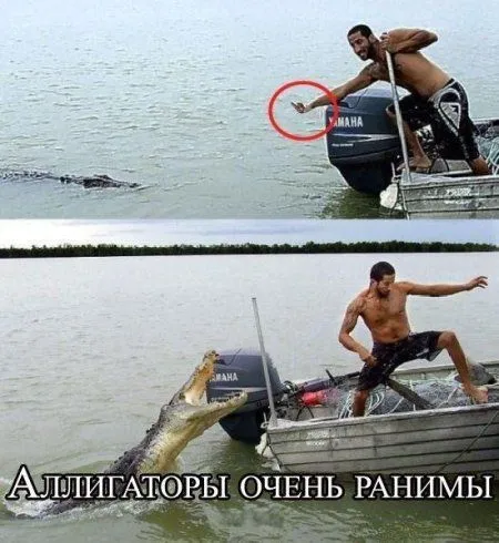 Приколы. Свежая порция настроения
