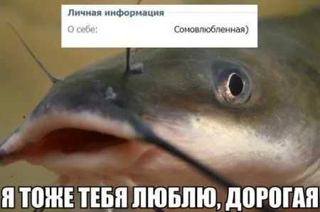 Приколы. Свежая порция настроения