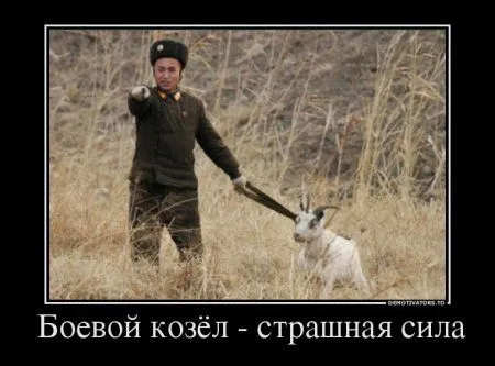 Самые свежие демотиваторы на вторник Самые свежие демотиваторы на вторник