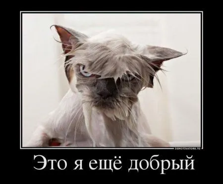 Самые свежие демотиваторы на вторник Самые свежие демотиваторы на вторник