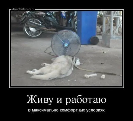 Демотиваторынц как обычно полны приколов Демотиваторынц как обычно полны приколов