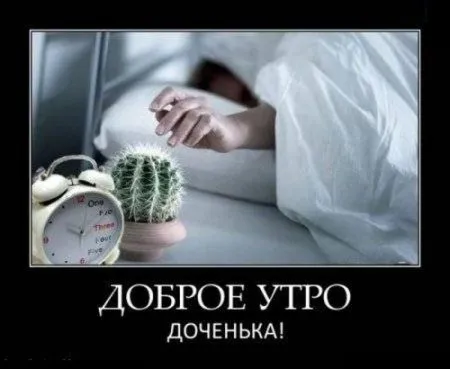 Демотиваторынц как обычно полны приколов Демотиваторынц как обычно полны приколов
