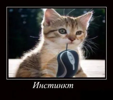 Демотиваторынц как обычно полны приколов Демотиваторынц как обычно полны приколов