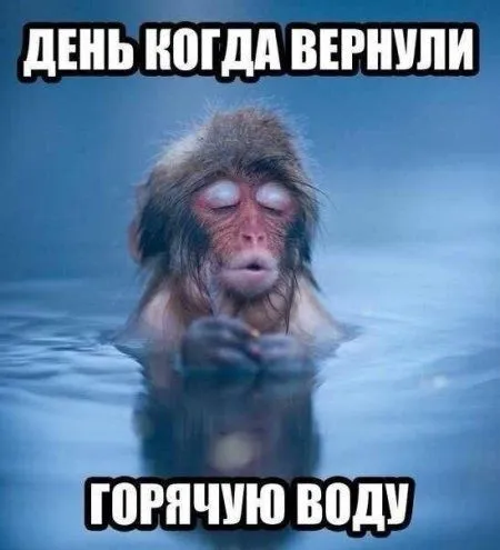Большая доза хихиина