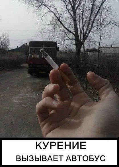 Фото приколы на ночь глядя