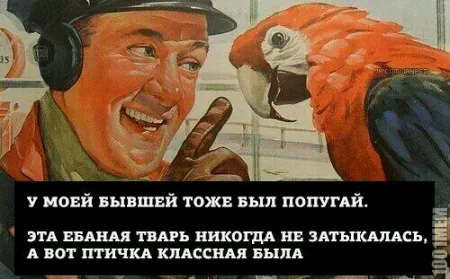 Фото приколы на ночь глядя
