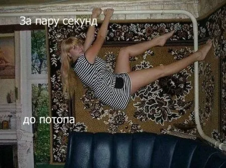 Фото приколы на ночь глядя
