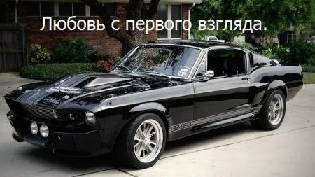 Фото приколы на ночь глядя