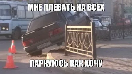 Фото приколы на ночь глядя