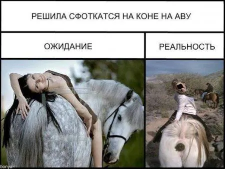 Фото приколы на ночь глядя