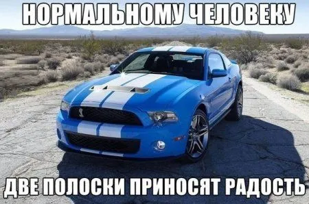 Фото приколы на ночь глядя