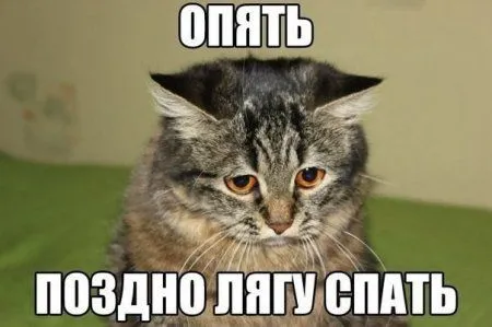 Фото приколы на ночь глядя