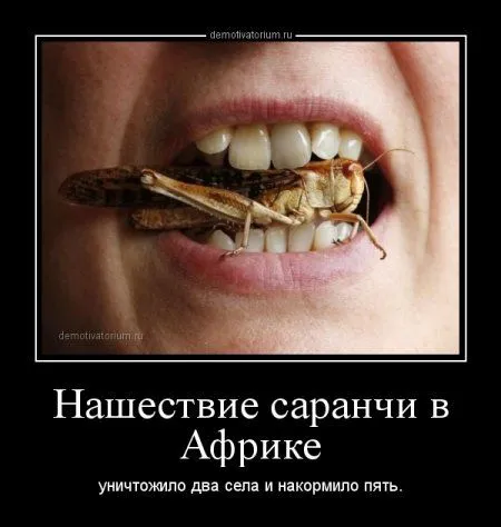 Демотиваторы  - без них хорошо, но сними лучше!