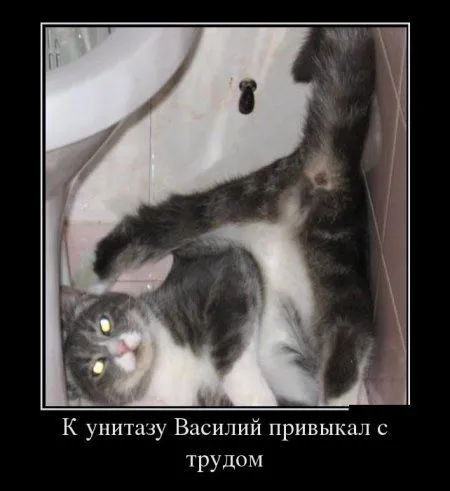 Демотиваторы  - без них хорошо, но сними лучше!