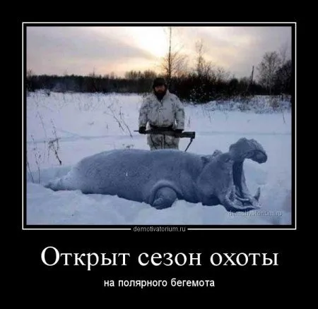 Демотиваторы  - без них хорошо, но сними лучше!