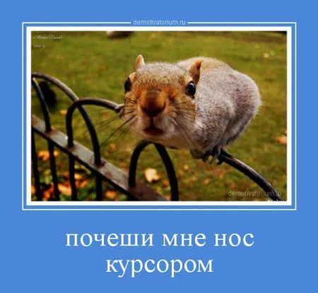 Демотиваторы  - без них хорошо, но сними лучше!