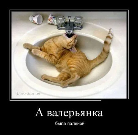 Демотиваторы  - без них хорошо, но сними лучше!