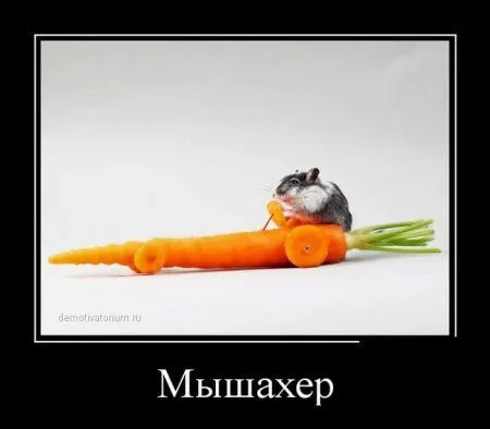 Демотиваторы  - без них хорошо, но сними лучше!
