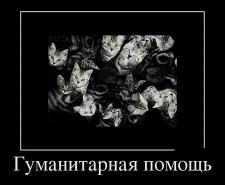 Демотиваторы  - без них хорошо, но сними лучше!