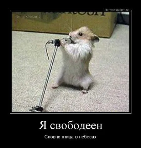 Демотиваторы  - без них хорошо, но сними лучше!