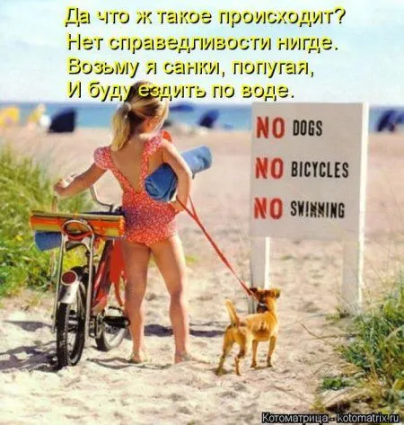 Мартовские коты, собаки и дети - что еще нужно для борьбы с весенним авитаминозом?