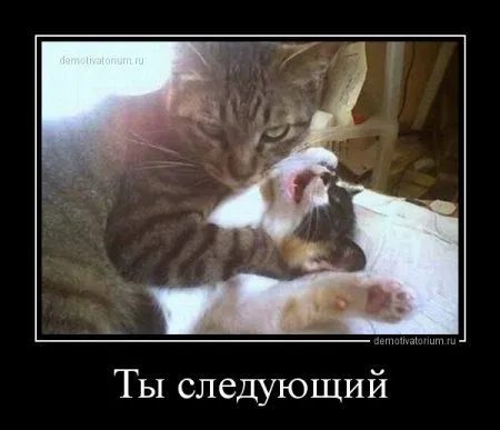 Прикольные демотиваторы, не проходите мимо Прикольные демотиваторы, не проходите мимо