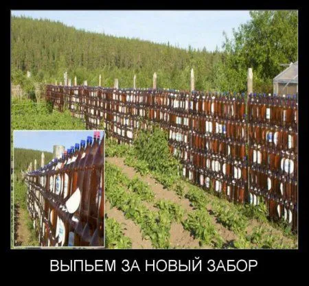 Прикольные демотиваторы, не проходите мимо Прикольные демотиваторы, не проходите мимо