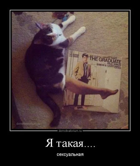 Прикольные демотиваторы, не проходите мимо Прикольные демотиваторы, не проходите мимо