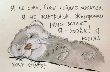 Приколы на фото, в марте они еще позитивней