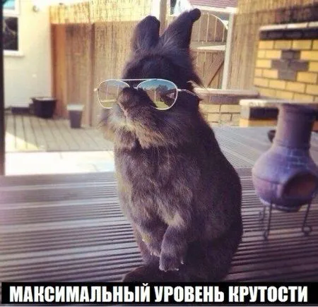 Приколы на фото, в марте они еще позитивней