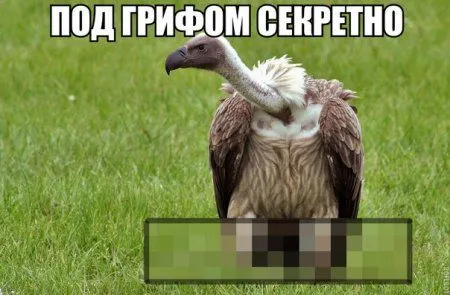 Прикольные картики и фото, стабильно хороший день Прикольные картики и фото, стабильно хороший день