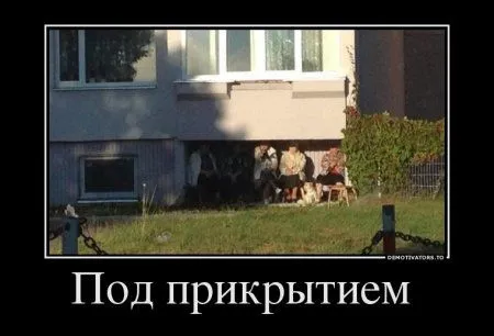 Демотиваторы рекомендованы к просмотру Демотиваторы рекомендованы к просмотру
