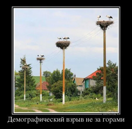 Демотиваторы рекомендованы к просмотру Демотиваторы рекомендованы к просмотру