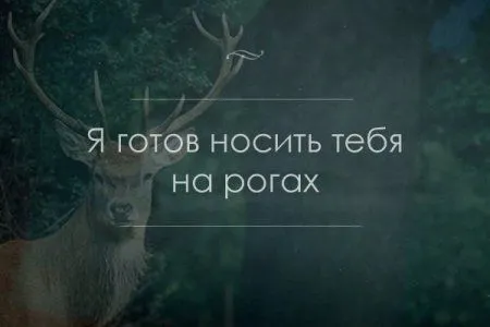 Нам есть с чего поднимать настроение