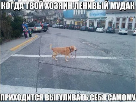 Нам есть с чего поднимать настроение