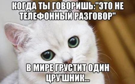 Счастье есть, фото приколы есть, все есть