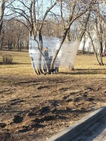 Счастье есть, фото приколы есть, все есть