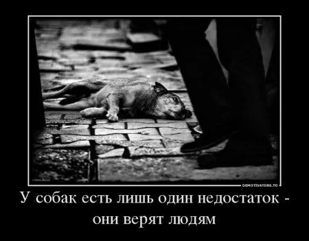 Джокер опять размышляет в Демотиваторах