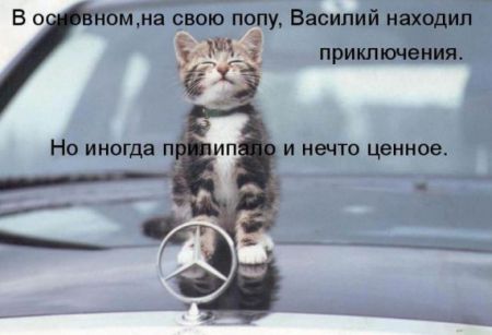 КотоМатрицы