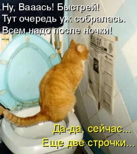 КотоМатрицы