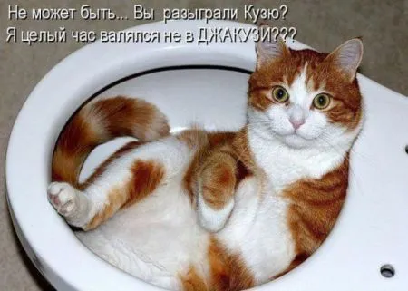 КотоМатрицы