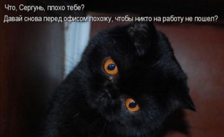 КотоМатрицы