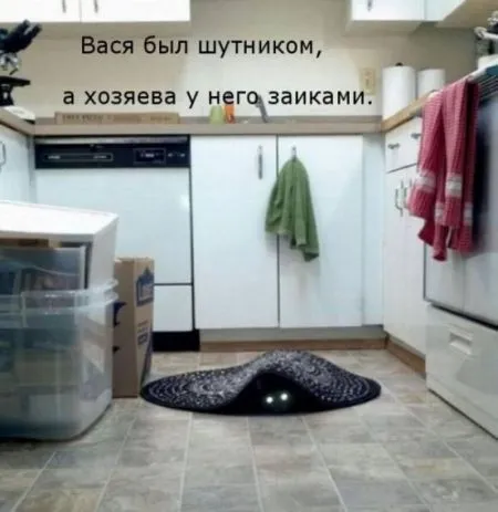 КотоМатрицы