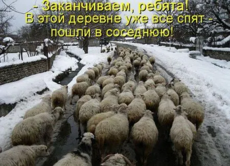 КотоМатрицы