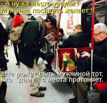 КотоМатрицы